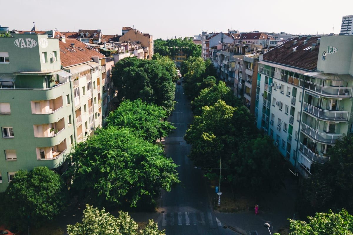 Грбавица (Grbavica), Нови-Сад
