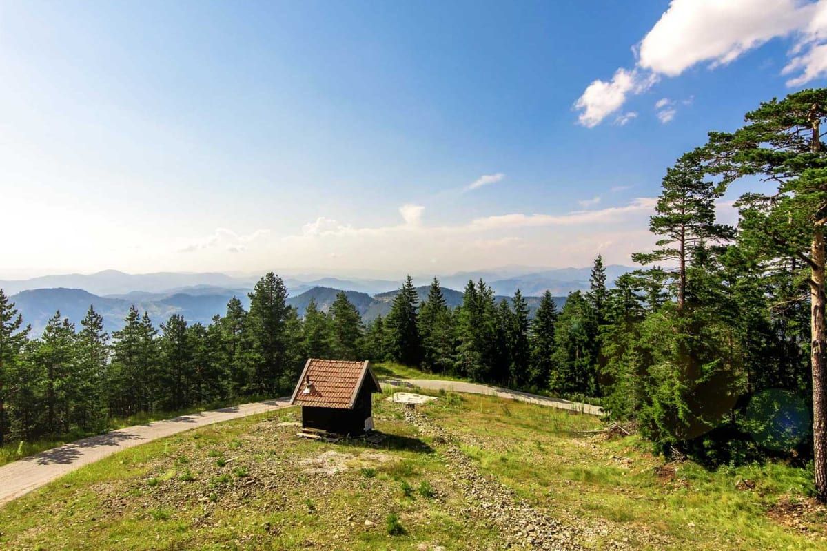 A mountain viewpoint with a small wooden hut and pines looking over layered blue ridges near Tornik, Zlatibor's highest peak.